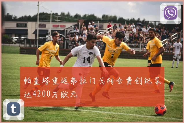 帕奎塔重返弗拉门戈转会费创纪录达4200万欧元
